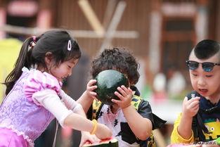 娱乐综艺吃瓜,揭秘娱乐圈幕后故事