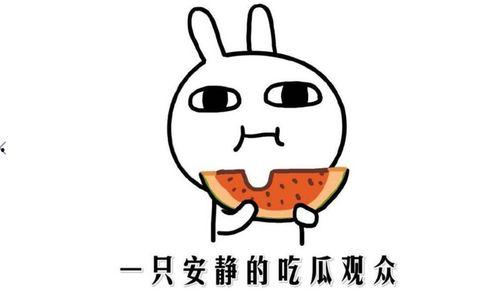 网络词吃瓜是什么意思,围观娱乐圈背后的真相