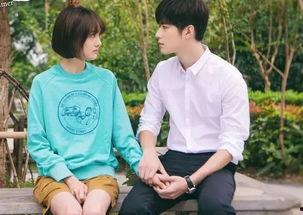 夏至未至演员名单,青春校园剧星光熠熠